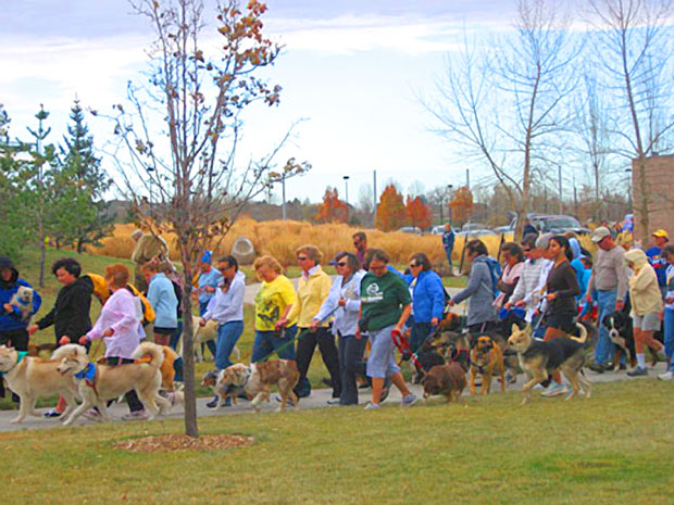Fort Collins Walk_Reporter Herald