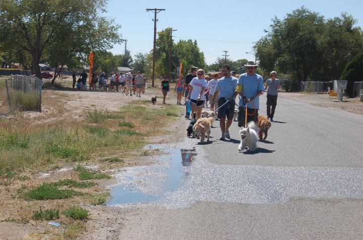 NM 5 Walkers