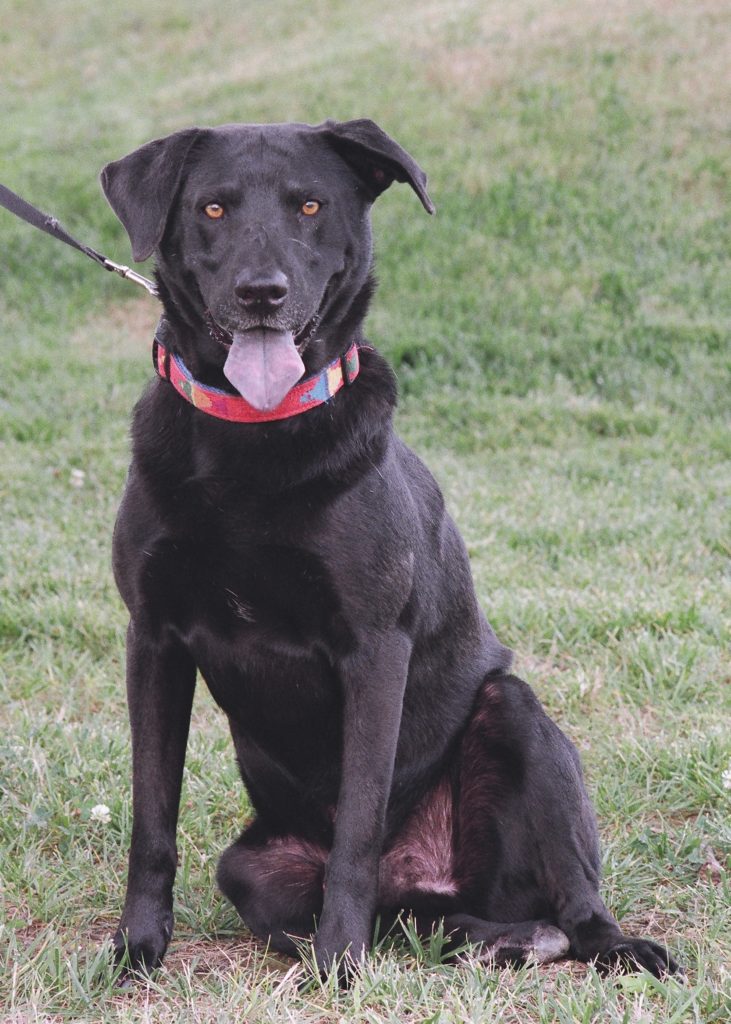 Buddy-2.JPG