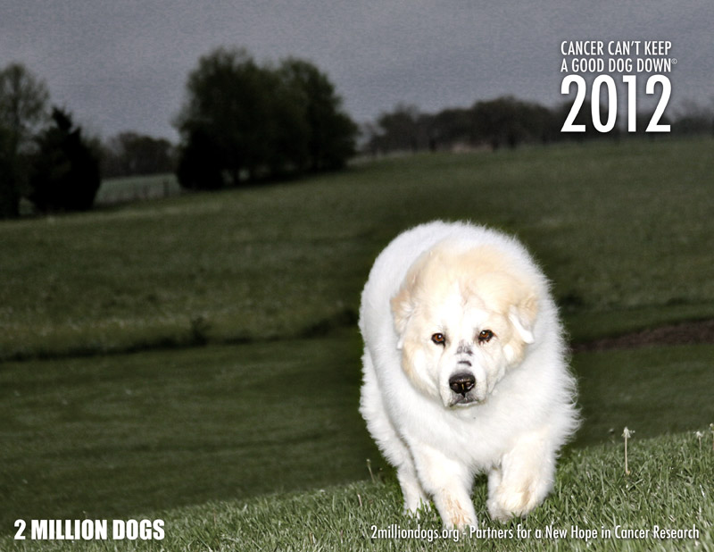 cover2.jpg