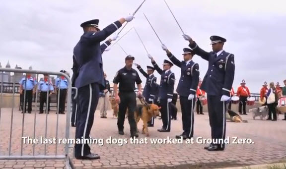 PuppyUp.org