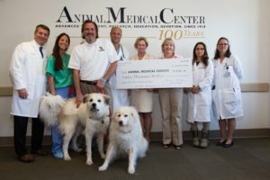 From left to right: Drs. Richard Goldstein and Allyson Berent; Luke Robinson, Founder of 2 Million Dogs; Dr. Chick Weisse; Kate Coyne (CEO of AMC); Ginger Morgan, Executive Director of 2 Million Dogs; Drs. Nicole Leibman and Ann Hohenhaus. Indiana and Hudson.