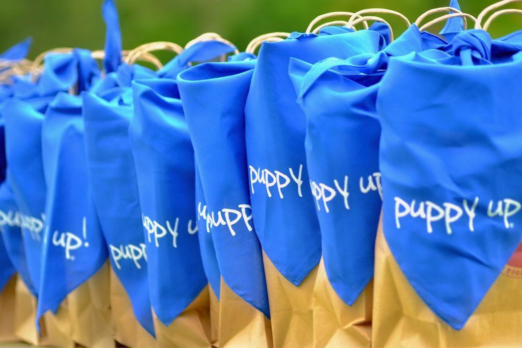 Memphis Puppy Up Bands