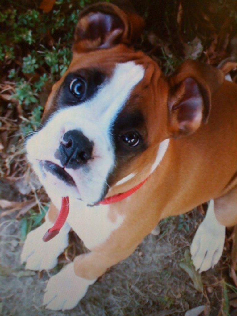 Murphy