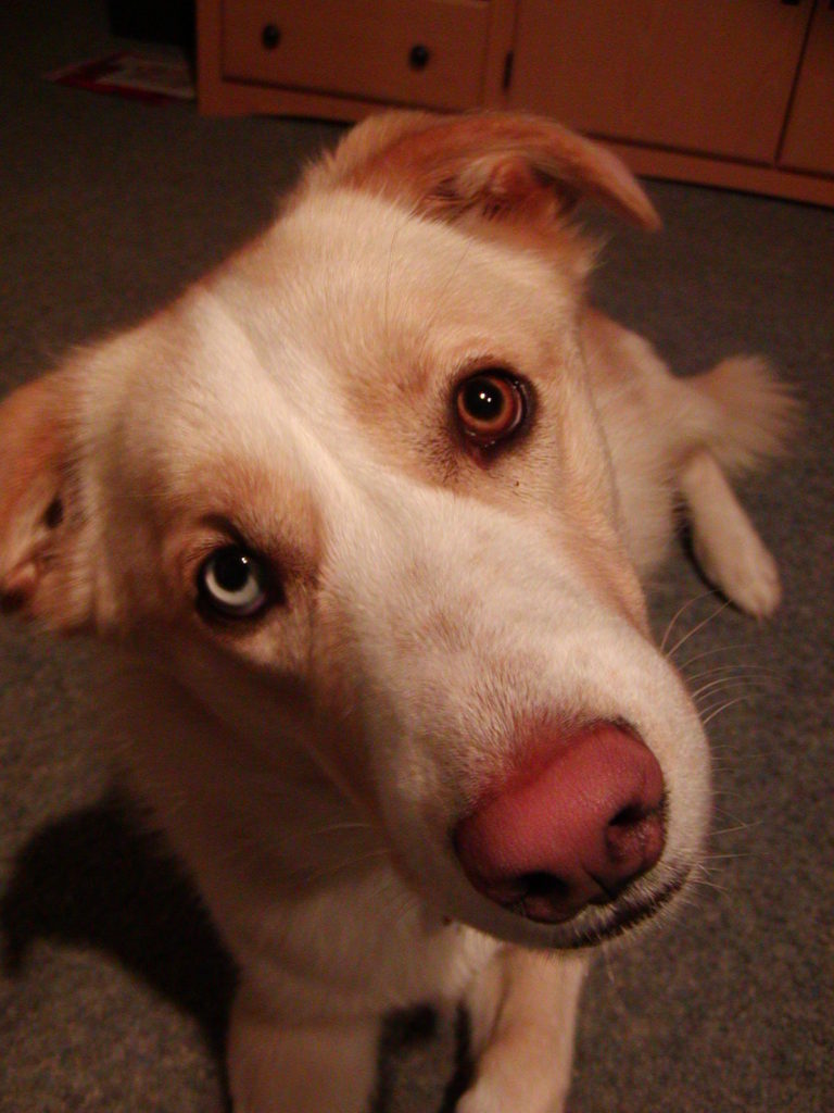 "What?"