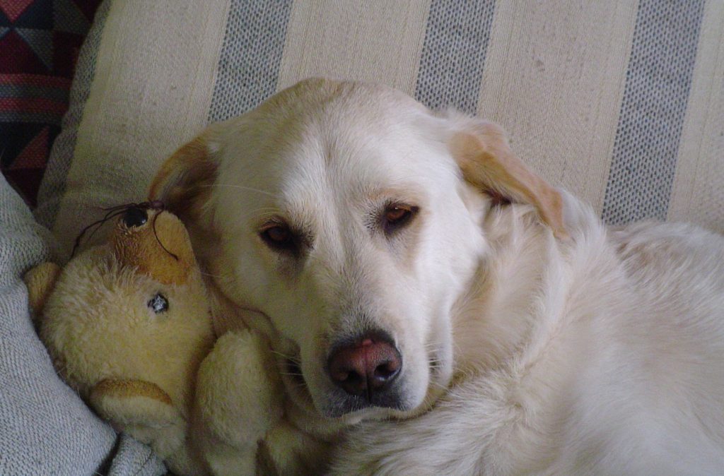 Maggie Boo Langlinais