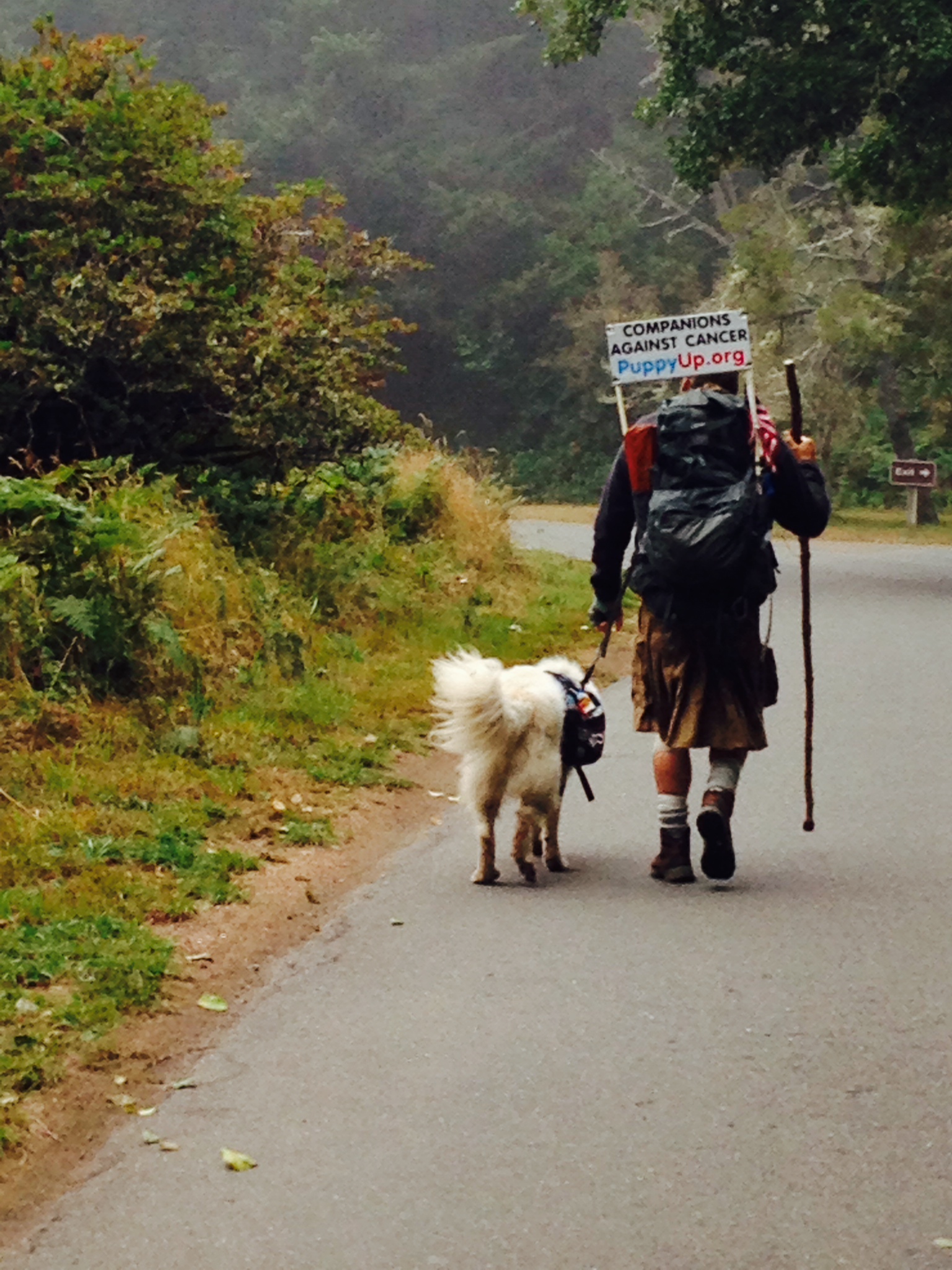 Luke & Indy Walking Away on the road_2014-08-19 10.37.25
