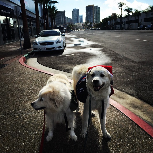 Earlier today -- downtown San Diego just a few miles away.