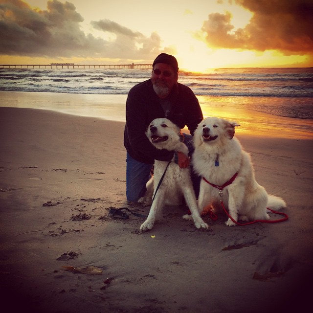 The Pack is back together again on Dog Beach.
