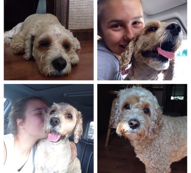 Baily and Emily.