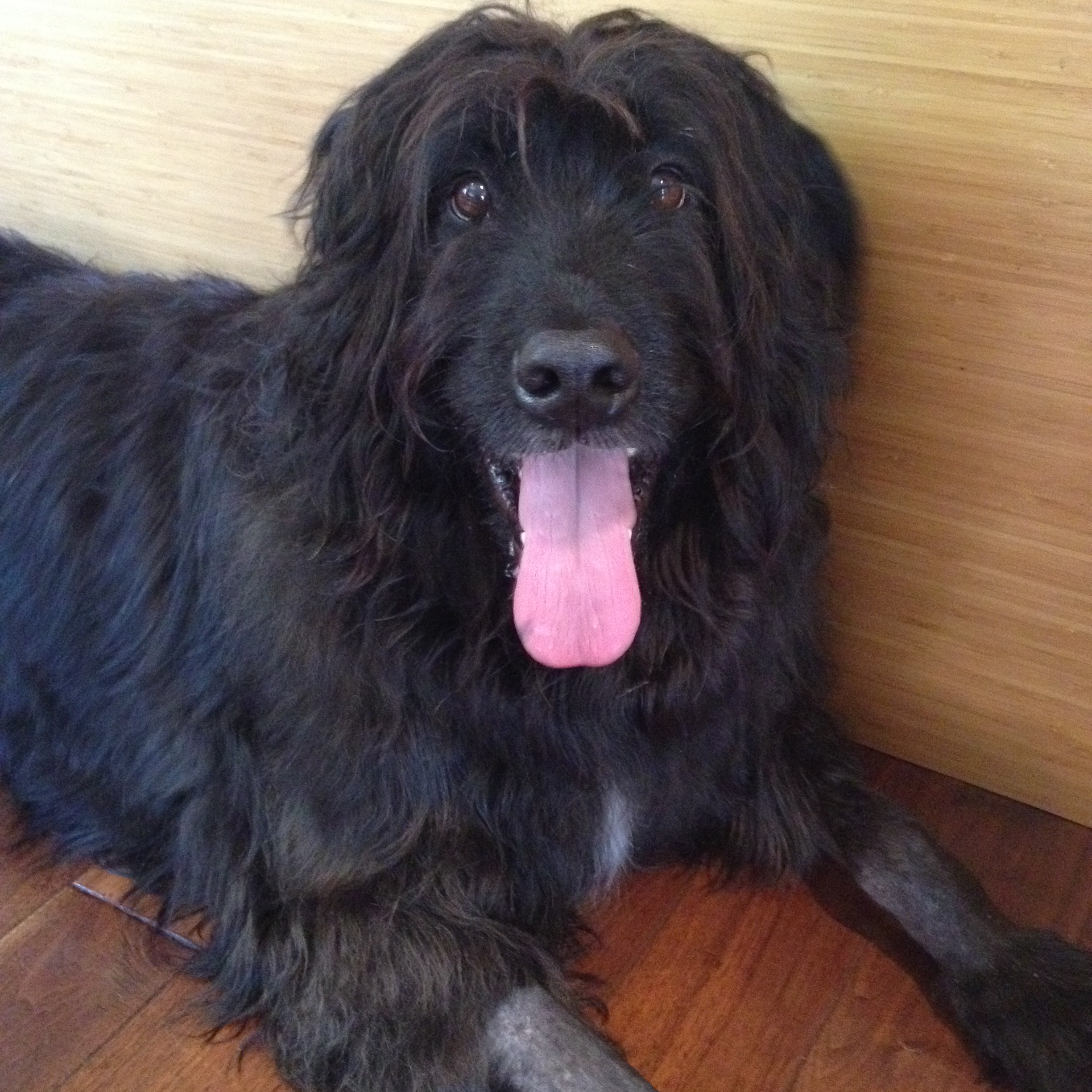 Dublin Howard Ulysses DeBartolo Schumaker