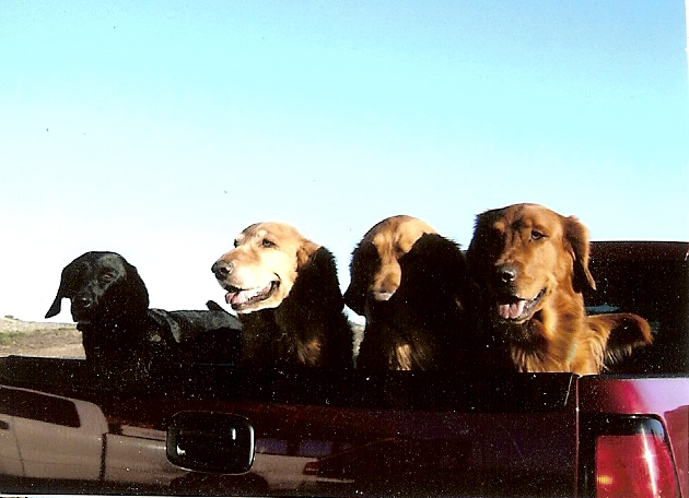 Chase, Mandy, Murphy and cancer survivor Cooper.