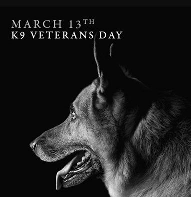 K9 Veterans Day 2