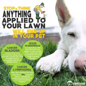 Anything applied to your lawn