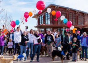 PuppyUp Walk in Colorado.