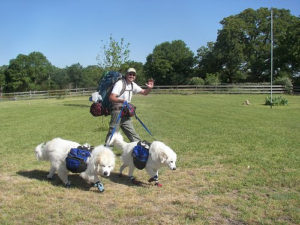 Luke, Hudson, and Murphy. The walk begins.