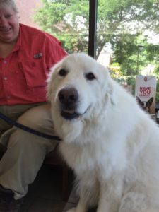 abby-christensen_for-sept-2016-newsletter_small