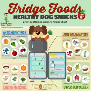 Fridge Foods Good For Dogs