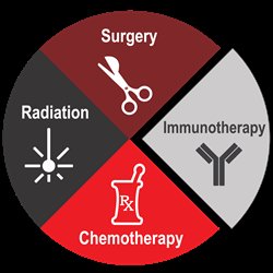 Immunotherapy - Providing an alternative treatment for dogs with cancer 85% of the dogs showed a positive anti-tumor immune response 