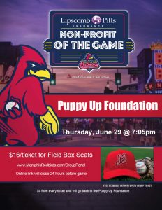 Puppy Up Memphis Redbirds Flyer