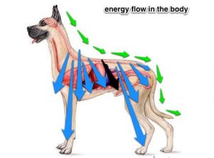 Energy flow lines