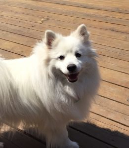 Oskar