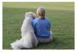 A Letter for 2 Million Dogs’ Executive Director