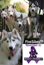 Five Sibes Blog Promotes Puppy Up! Walk