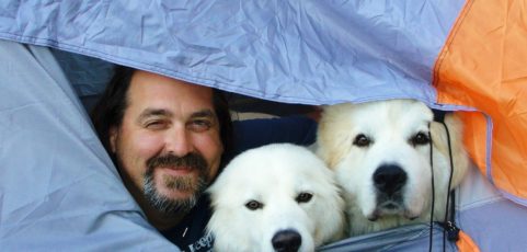 2 Million Dogs in The Huffington Post