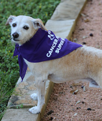 Tanner - Cancer Warrior Garden Ridge, TX