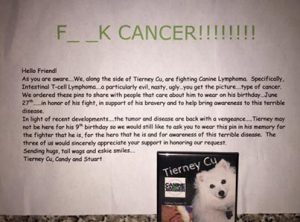 TC 26 F Cancer