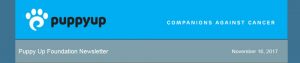 newsletter banner