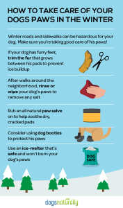 How-to-take-care-of-your-dogs-paws-in-the-winter-infograph-01