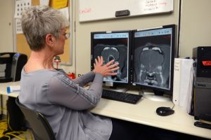 Liz Pluhar sits in front of a computer showing an MRI of a tumor found in the frontal lobe of a Boston terrier before and immediately after surgery on Wednesday, Jan. 17. Photo by Easton Green.