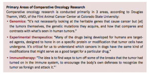 Primary Areas of Comparative Oncology Research