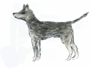 Earliest contagious cancer? A sketch by Emma Werner shows what researchers believe the first dog with this disease may have looked like.