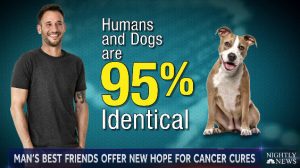 Humans and dogs are 95% genetically identical.