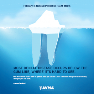 AVMA Pet Dental Care Month