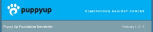 Feb 2018 Newsletter Banner
