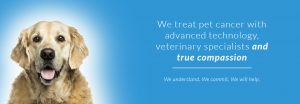 Pet Cure Oncology