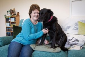 Sara admits worrying for her dog’s health while she was battling her own cancer Border Collie-Labrador cross Freyja was diagnosed with an aggressive breast cancer with six months to live in January 2014