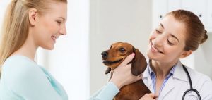 vca clinic