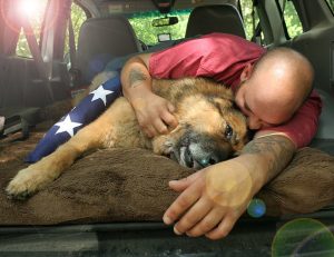 Military Working Dog Nero saved over 3000 soldiers while stationed in Iraq during Operation Iraq Freedom. Nero passed away from cancer in June 2013 after earning a much earned and spoiled retirement with Saveavet. May you rest in peace and never run short of squirrels.