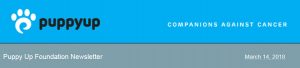 newsletter header Mar 2018