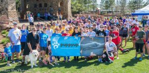 Puppy Up Walk Generic