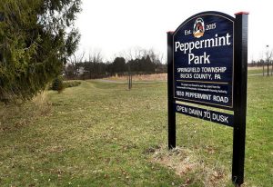 peppermint park