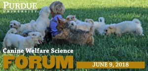 Canine Banner