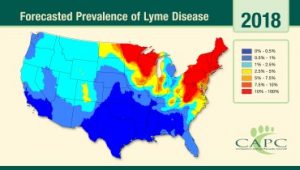 Forecast_Maps-Lyme