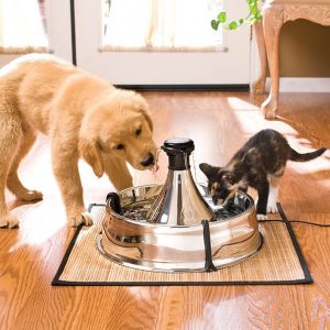Pictured is the Drinkwell Pet Fountain