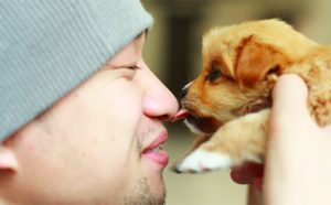 kissing-dog-808x500